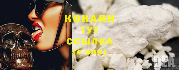 индика Верхнеуральск