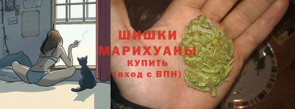 МДПВ Верхний Тагил