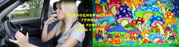 винт Верея