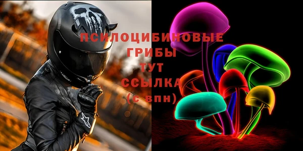 хмурый Чегем