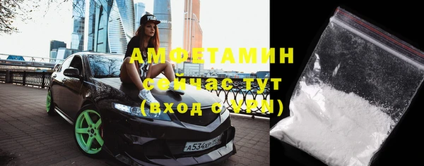 ГАЛЛЮЦИНОГЕННЫЕ ГРИБЫ Чекалин